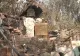 Primele imagini din epicentrul exploziei de la Crevedia. Locul arată ca orașele bombardate din Ucraina - VIDEO