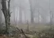 Alertă meteo: cod galben de fenomene periculoase, în următoarele ore - HARTA