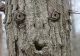 Vezi semne și imagini în orice obiect? Ce este pareidolia și când devine periculoasă?