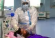După COVID, un alt virus transmis de lilieci provoacă panică în India. Din 23 de infectați, 21 au murit