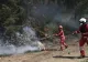 Măsuri în Grecia după valul de incendii:  Autoritățile vor folosi drone și senzori de temperatură în păduri