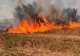 Trafic blocat pe A1 București-Pitești - Incendiu uriaș, vizibilitate redusă