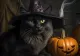Superstiții de Halloween 2023. Ce nu e bine să faci sub nicio formă - Trick or treat: Ne dați ori nu ne dați?