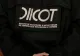 Camera Deputaților a reclamat la DIICOT atacul informatic al hackerilor