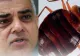 Invazia ploșnițelor ajunge în Anglia - Este alertă în Londra, unde autobuzele și camerele de hotel sunt acaparate de insectele parazite