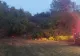 Accident teribil în Argeș - O femeie a murit după ce s-a răsturnat cu tractorul într-o râpă