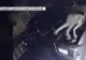 Reacția Poliției în cazul tânărului drogat care a murit la spital - Ce spune expertiza medico-legală referitor la cauza decesului