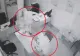 DETALII ȘOCANTE în cazul polițistului prins în flagrant când fura bani şi bunuri dintr-o locuință din Oradea. Cine era complicele - Primele imagini