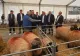 Nicolae Ciucă, vizită neașteptată la târgul Indagra. Discuții cu fermierii români - Măsuri pentru sectorul agricol