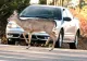 Ce se întâmplă dacă ai lovit un animal cu mașina din greșeală. Ești tras la răspundere sau nu?