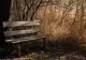 Bătaie între pensionari, într-un parc din Timișoara: unul a fost înjunghiat