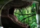 Cercetătorii au identificat animalul cu cea mai puternică mușcătură de pe Pământ. Cine este campionul dinților ucigași de care nu scapă nimeni