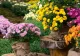 Super-florile toamnei, care rezistă la frig.Te vor încânta cu frumusețea și parfumul lor chiar și la temperaturi scăzute