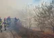 Incendiu de proporții în Delta Dunării. A luat foc pădurea din Plauru, localitatea unde tot cad drone rusești FOTO