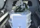 Domeniul în care afacerile înfloresc în ultimii ani în România: profituri uriașe pentru firmele de pompe funebre