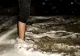 Un român a câștigat în Germania dreptul de URINA în mare. Judecător: Are același drept ca un cerb!