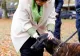 De ce nu ar trebui să mângâi niciodată un câine pe cap. Greșeala pe care o facem fără să ne dăm seama