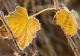 Prognoza meteo pe o lună. Temperaturi în scădere - ploile pun stăpânire pe țară. Cum va fi vremea până pe 13 noiembrie 