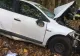Accident grav, lângă o pădure din Giurgiu: un tânăr de 20 de ani a murit după ce s-a izbit cu mașina de copaci - FOTO