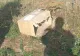 Un bărbat din Arad a primit un colet la ușă și, după ce l-a plătit, și-a dat seama că nu l-a comandat. A sunat la 112 - ireal ce a urmat! FOTO