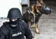 Mafia deșeurilor din Prahova, destructurată: 12 persoane au fost reținute. Printre ele, și liderul grupării, care încercase să fugă din țară