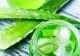 Rețeta secretului frumuseții naturale a Maicii Ecaterina - Cum se face de fapt crema de față și de păr din Aloe Vera