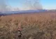 Incendiu devastator, în Tulcea. Au luat foc 10 hectare de vegetație uscată și stuf la Ceamurlia de Jos VIDEO
