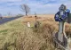 „Drumul Morții” din România – DN2 E85 - 199 de cruci în amintirea victimelor accidentelor rutiere din ultimii zece ani