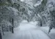 Vremea 8 decembrie - Ninsori și temperaturi scăzute - Zonele cele mai afectate din țară