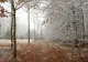 Vremea 25 noiembrie. Precipitațiile își restrâng aria, dar cerul rămâne tot înnorat astăzi. Maxime de până la 13 grade Celsius