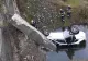 Vâlcea: Autoturism căzut în balta Proieni: 3 persoane, între care şi o minoră de 13 ani, au ajuns la spital