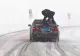 Poliția, reacție spumoasă în cazul vasluianului care s-a urcat pe capota mașinii în MERS - VIDEO