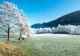 Vremea 20 decembrie. Temperaturi de primăvară și astăzi. Maximele vor ajunge până la 14 grade