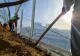 Se plantează arbori la Pasajul Europa Unită, care devine, astfel, un bulevard verde