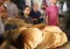 Alți 41 de români și membri ai familiilor acestora din Fâșia Gaza vor fi aduși în țară