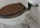 Șeful bugetarilor de la Guvern cere spor pe motiv de stafilococ auriu. Bacteria se ascunde în toale
