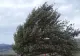Alertă meteo - Mai multe județe, vizate de Cod galben și portocaliu de vânt puternic - Zonele afectate anunțate de ANM