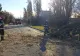 Vremea rea face ravagii în țară - Un arbore a căzut peste o mașină în care se aflau două persoane