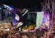 Două accidente mortale în aceeași zonă din Teleorman: 3 morți. O femeie în comă, adusă în Capitală - Cum s-au produs tragediile