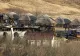 ANPC recunoaște: Ultimul control la Ferma Dacilor a fost în 2017