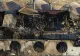 Acuzații grave la adresa șefilor ISU Prahova, inclusiv FALS în documente. Primele concluzii după tragedia de la Ferma Dacilor - VIDEO