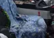 Scene șocante, în Iași: un tânăr a distrus un autobuz și a atacat o femeie după ce i s-a cerut să valideze biletul