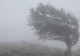 Alertă meteo: 8 județe, afectate de Codul galben până duminică dimineață - ANM, anunț despre zonele vizate de CEAȚĂ și vânt puternic