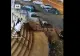 VIDEO. Momentul în care o femeie fură bradul de Crăciun din fața unui magazin din Dej și o rupe la fugă spre portbagajul mașinii