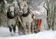 Prognoza meteo de Revelion: temperaturile cresc brusc. Unde va ninge ca în povești