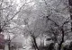 Ce se întâmplă după ninsoarea din București? Avertismentele meteorologilor pentru dimineața zilei de vineri