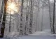 Vremea 1 ianuarie - Temperaturi peste normalele acestei perioade. La cât va ajunge mercurul în termometre în Capitală