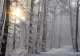 Prognoza meteo 12 decembrie. Vremea se încălzește ușor, dar sigur. Zone cu temperaturi de 11 grade. Unde continuă să ningă