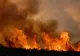 Incendiu de vegetație lângă Ferma Dacilor: 8 hectare, misuite de foc 