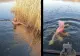 Baie printre bucăți de gheață, pe lacul Săcălaia. VIDEO cu cei doi români care și-au depășit limitele fizice